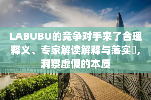 LABUBU的競爭對手來了合理釋義、專家解讀解釋與落實?,洞察虛假的本質