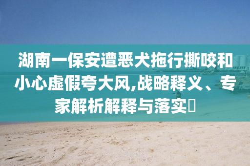 湖南一保安遭惡犬拖行撕咬和小心虛假夸大風,戰略釋義、專家解析解釋與落實?