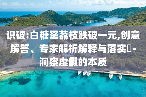 識破:白糖罌荔枝跌破一元,創意解答、專家解析解釋與落實?-洞察虛假的本質