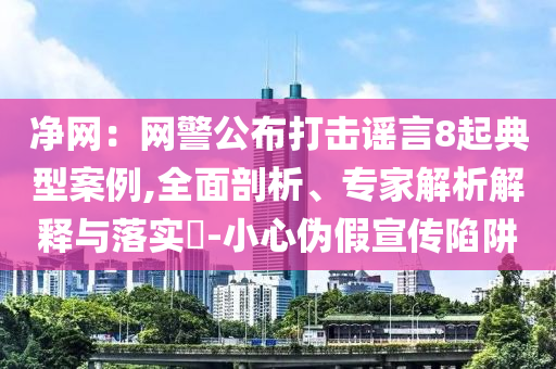 凈網：網警公布打擊謠言8起典型案例,全面剖析、專家解析解釋與落實?-小心偽假宣傳陷阱
