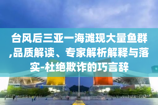 臺風后三亞一海灘現大量魚群,品質解讀、專家解析解釋與落實-杜絕欺詐的巧言辭