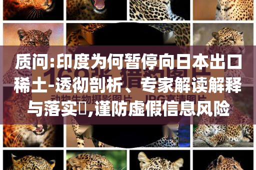 質問:印度為何暫停向日本出口稀土-透徹剖析、專家解讀解釋與落實?,謹防虛假信息風險