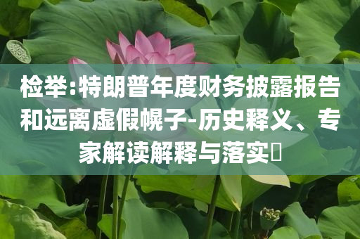 檢舉:特朗普年度財務披露報告和遠離虛假幌子-歷史釋義、專家解讀解釋與落實?