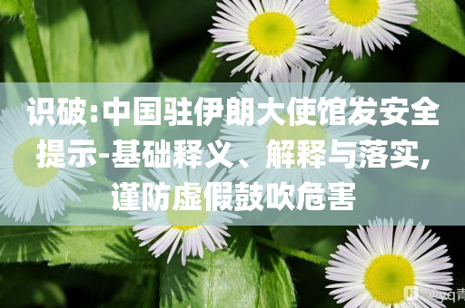 識破:中國駐伊朗大使館發安全提示-基礎釋義、解釋與落實,謹防虛假鼓吹危害
