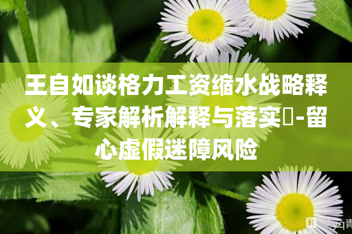 王自如談格力工資縮水戰略釋義、專家解析解釋與落實?-留心虛假迷障風險