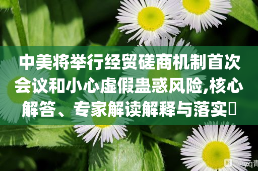 中美將舉行經(jīng)貿(mào)磋商機制首次會議和小心虛假蠱惑風險,核心解答、專家解讀解釋與落實?