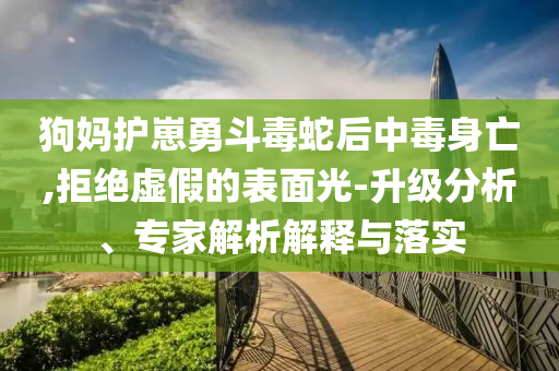 狗媽護崽勇斗毒蛇后中毒身亡,拒絕虛假的表面光-升級分析、專家解析解釋與落實