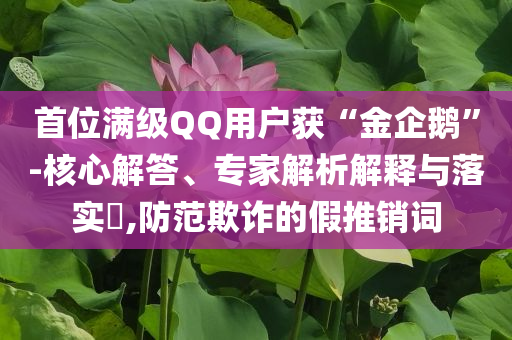 首位滿級QQ用戶獲“金企鵝”-核心解答、專家解析解釋與落實?,防范欺詐的假推銷詞