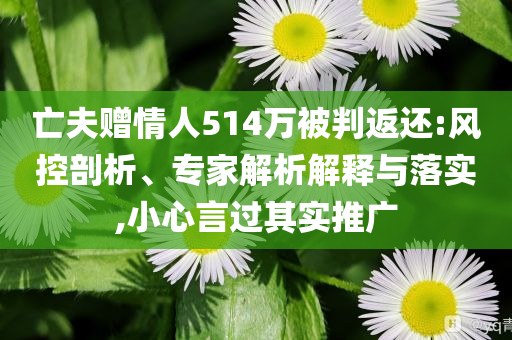 亡夫贈情人514萬被判返還:風控剖析、專家解析解釋與落實,小心言過其實推廣