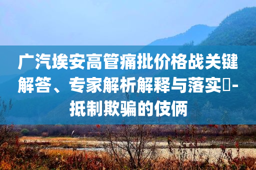 廣汽埃安高管痛批價格戰關鍵解答、專家解析解釋與落實?-抵制欺騙的伎倆