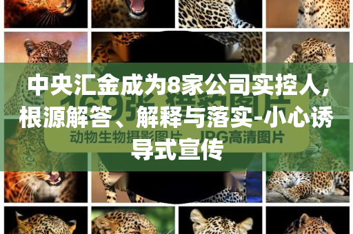 中央匯金成為8家公司實控人,根源解答、解釋與落實-小心誘導式宣傳