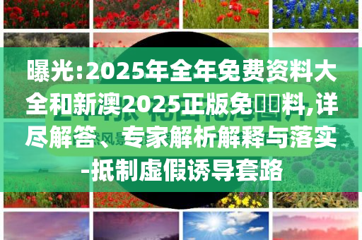 曝光:2025年全年免費資料大全和新澳2025正版免費資料,詳盡解答、專家解析解釋與落實-抵制虛假誘導套路