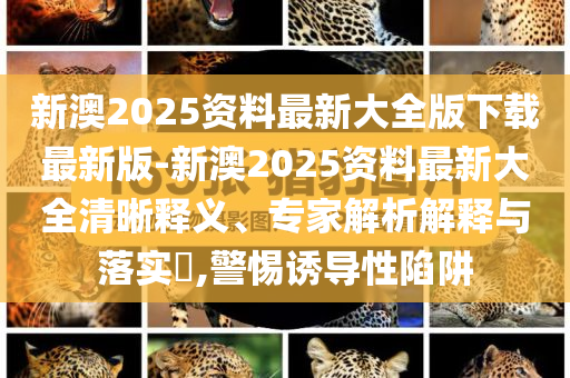 新澳2025資料最新大全版下載最新版-新澳2025資料最新大全清晰釋義、專家解析解釋與落實?,警惕誘導性陷阱