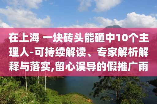 在上海 一塊磚頭能砸中10個主理人-可持續解讀、專家解析解釋與落實,留心誤導的假推廣雨