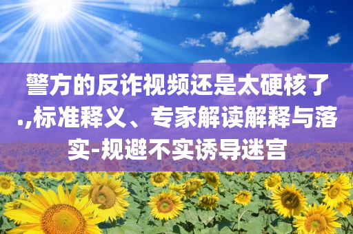 警方的反詐視頻還是太硬核了.,標準釋義、專家解讀解釋與落實-規避不實誘導迷宮