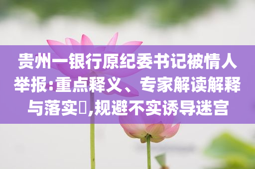 貴州一銀行原紀委書記被情人舉報:重點釋義、專家解讀解釋與落實?,規避不實誘導迷宮