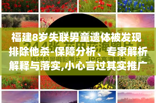 福建8歲失聯男童遺體被發現 排除他殺-保障分析、專家解析解釋與落實,小心言過其實推廣