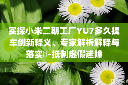 實探小米二期工廠YU7多久提車創新釋義、專家解析解釋與落實?-抵制虛假迷障