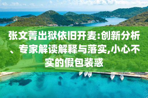 張文菁出獄依舊開麥:創新分析、專家解讀解釋與落實,小心不實的假包裝惑