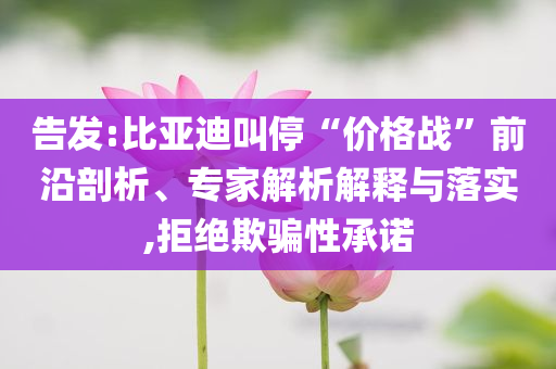 告發:比亞迪叫?！皟r格戰”前沿剖析、專家解析解釋與落實,拒絕欺騙性承諾