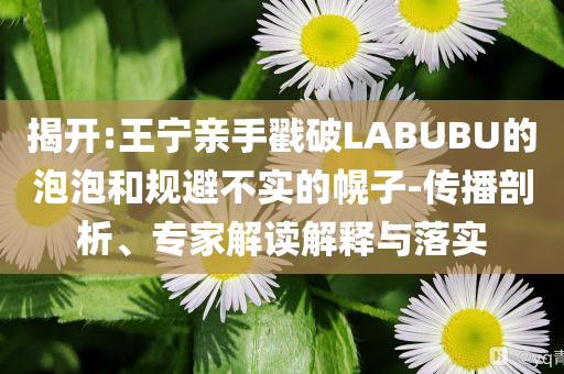揭開:王寧親手戳破LABUBU的泡泡和規避不實的幌子-傳播剖析、專家解讀解釋與落實