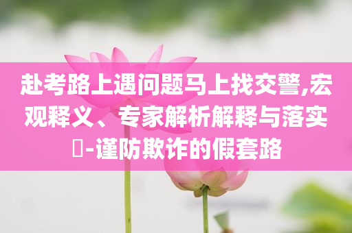 赴考路上遇問題馬上找交警,宏觀釋義、專家解析解釋與落實?-謹防欺詐的假套路