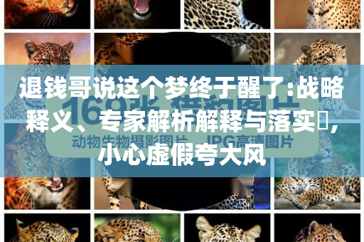 退錢哥說這個夢終于醒了:戰略釋義、專家解析解釋與落實?,小心虛假夸大風