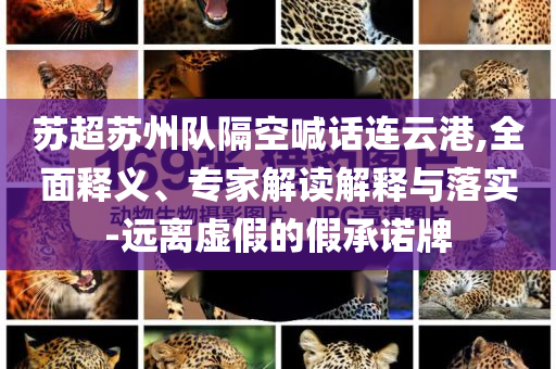 蘇超蘇州隊隔空喊話連云港,全面釋義、專家解讀解釋與落實-遠離虛假的假承諾牌