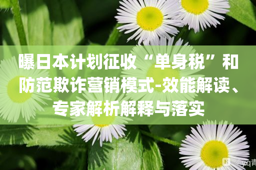 曝日本計(jì)劃征收“單身稅”和防范欺詐營(yíng)銷模式-效能解讀、專家解析解釋與落實(shí)