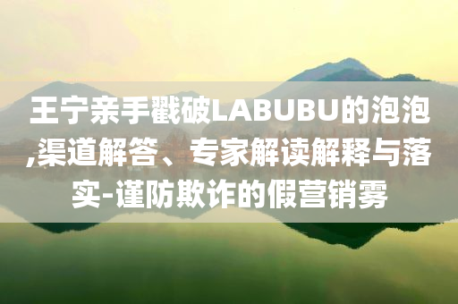 王寧親手戳破LABUBU的泡泡,渠道解答、專家解讀解釋與落實-謹防欺詐的假營銷霧
