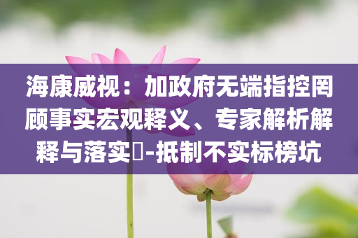 海康威視：加政府無端指控罔顧事實宏觀釋義、專家解析解釋與落實?-抵制不實標榜坑