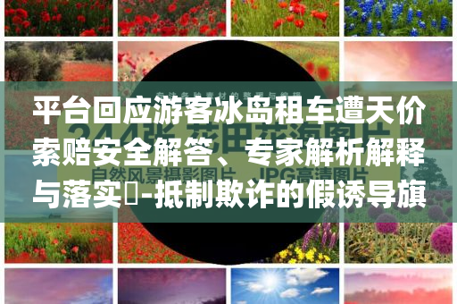 平臺回應游客冰島租車遭天價索賠安全解答、專家解析解釋與落實?-抵制欺詐的假誘導旗