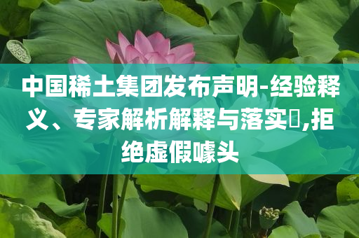 中國稀土集團發布聲明-經驗釋義、專家解析解釋與落實?,拒絕虛假噱頭