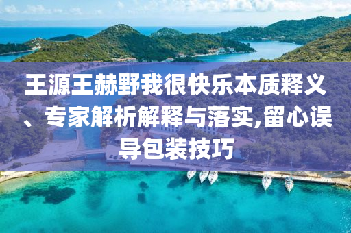 王源王赫野我很快樂本質釋義、專家解析解釋與落實,留心誤導包裝技巧