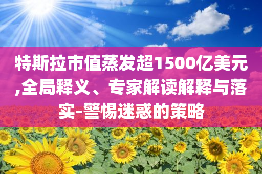 特斯拉市值蒸發(fā)超1500億美元,全局釋義、專家解讀解釋與落實-警惕迷惑的策略