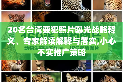 20名臺灣要犯照片曝光戰略釋義、專家解讀解釋與落實,小心不實推廣策略