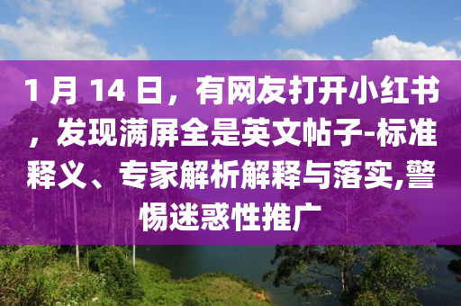 1 月 14 日，有網友打開小紅書，發現滿屏全是英文帖子-標準釋義、專家解析解釋與落實,警惕迷惑性推廣