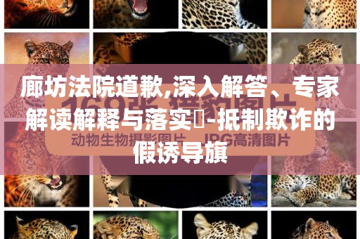 廊坊法院道歉,深入解答、專家解讀解釋與落實?-抵制欺詐的假誘導旗
