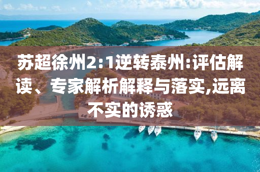 蘇超徐州2:1逆轉(zhuǎn)泰州:評(píng)估解讀、專(zhuān)家解析解釋與落實(shí),遠(yuǎn)離不實(shí)的誘惑
