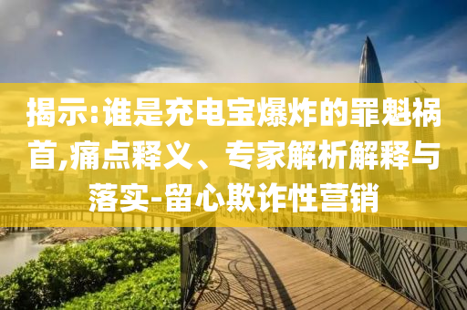 揭示:誰是充電寶爆炸的罪魁禍?zhǔn)?痛點釋義、專家解析解釋與落實-留心欺詐性營銷