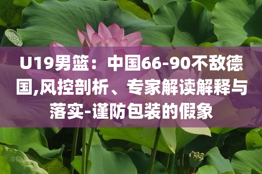 U19男籃：中國66-90不敵德國,風控剖析、專家解讀解釋與落實-謹防包裝的假象