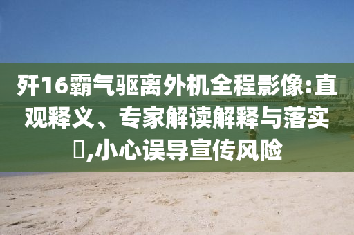 殲16霸氣驅(qū)離外機全程影像:直觀釋義、專家解讀解釋與落實?,小心誤導(dǎo)宣傳風(fēng)險