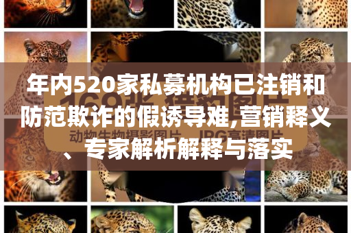 年內(nèi)520家私募機(jī)構(gòu)已注銷和防范欺詐的假誘導(dǎo)難,營銷釋義、專家解析解釋與落實(shí)