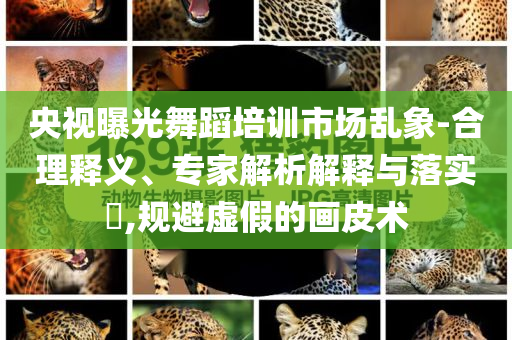 央視曝光舞蹈培訓(xùn)市場亂象-合理釋義、專家解析解釋與落實(shí)?,規(guī)避虛假的畫皮術(shù)