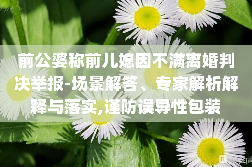 前公婆稱前兒媳因不滿離婚判決舉報-場景解答、專家解析解釋與落實,謹防誤導性包裝