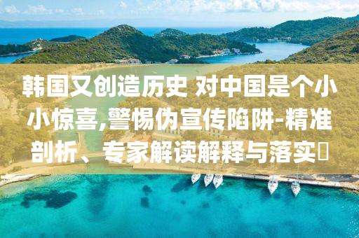 韓國又創(chuàng)造歷史 對中國是個小小驚喜,警惕偽宣傳陷阱-精準(zhǔn)剖析、專家解讀解釋與落實?