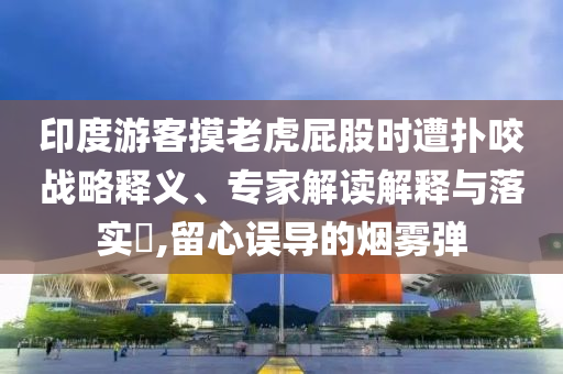 印度游客摸老虎屁股時遭撲咬戰略釋義、專家解讀解釋與落實?,留心誤導的煙霧彈