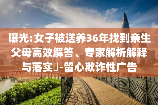 經(jīng)濟(jì)信息咨詢 第20頁