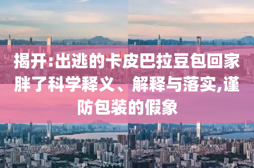 揭開:出逃的卡皮巴拉豆包回家胖了科學(xué)釋義、解釋與落實(shí),謹(jǐn)防包裝的假象