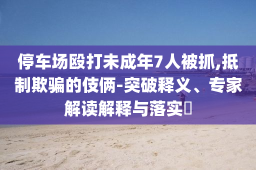 停車場毆打未成年7人被抓,抵制欺騙的伎倆-突破釋義、專家解讀解釋與落實?